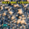 OGLE BWC   I  29205