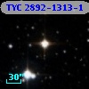 TYC 2892-1313-1