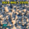 OGLE BWC   I  29501