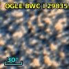 OGLE BWC   I  29835