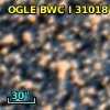 OGLE BWC   I  31018