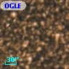 OGLE BWC   I  31055