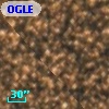 OGLE BWC   I  31071