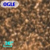 OGLE BWC   I  31152