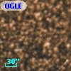 OGLE BWC   I  31220