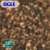 OGLE BWC   I  31221