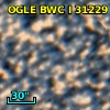 OGLE BWC   I  31229