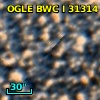 OGLE BWC   I  31314