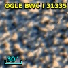OGLE BWC   I  31335