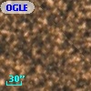 OGLE BWC   I  31397