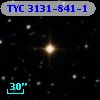 TYC 3131-841-1