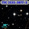 TYC 3131-1077-1