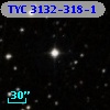 TYC 3132-318-1