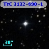 TYC 3132-890-1