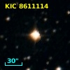 TYC 3132-924-1