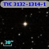 TYC 3132-1314-1