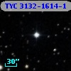 TYC 3132-1614-1