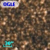 OGLE BWC   I  32985