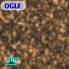 OGLE BWC   I  33096