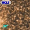 OGLE BWC   I  33140