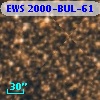 EWS 2000-BUL-61