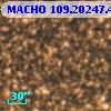 MACHO 109.20247.4850