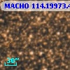 MACHO 114.19973.4162