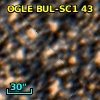OGLE BUL-SC1     43