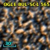 OGLE BUL-SC1 565507