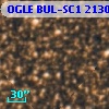 OGLE BUL-SC1 213095