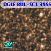 OGLE BUL-SC1 398529