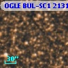 OGLE BUL-SC1 213118