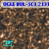 OGLE BUL-SC1 213122