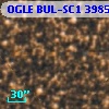 OGLE BUL-SC1 398538