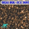 OGLE BUL-SC1  36031