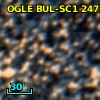 OGLE BUL-SC1 247214