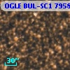 OGLE BUL-SC1  79582