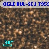 OGLE BUL-SC1  79590