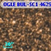 OGLE BUL-SC1 462517