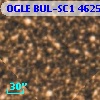 OGLE BUL-SC1 462535