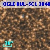 OGLE BUL-SC1 304023