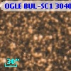 OGLE BUL-SC1 304004