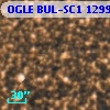 OGLE BUL-SC1 129901