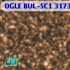 OGLE BUL-SC1 317327