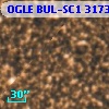 OGLE BUL-SC1 317329