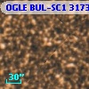 OGLE BUL-SC1 317338