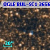 OGLE BUL-SC1 365699