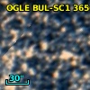 OGLE BUL-SC1 365694