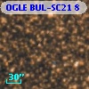 OGLE BUL-SC21      8