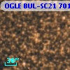 OGLE BUL-SC21 701893